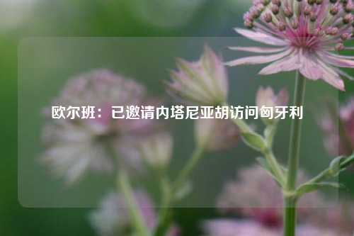 欧尔班：已邀请内塔尼亚胡访问匈牙利