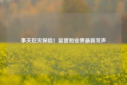 事关巨灾保险！监管和业界最新发声