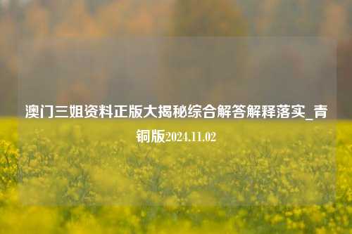 澳门三姐资料正版大揭秘综合解答解释落实_青铜版2024.11.02