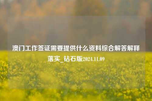 澳门工作签证需要提供什么资料综合解答解释落实_钻石版2024.11.09