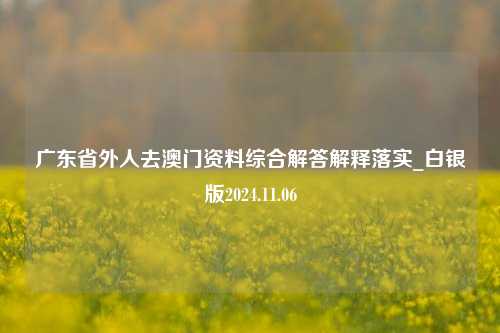 广东省外人去澳门资料综合解答解释落实_白银版2024.11.06