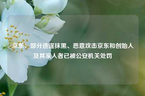 京东：部分造谣抹黑、恶意攻击京东和创始人及其家人者已被公安机关处罚