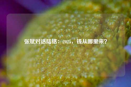 张斌对话陆铭：2025，钱从哪里来？