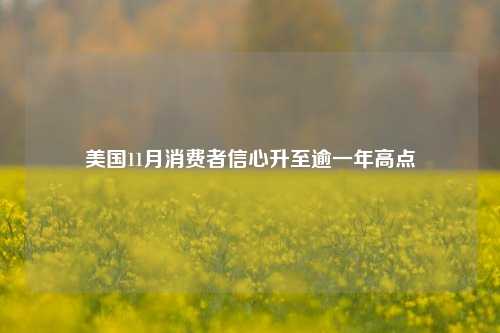 美国11月消费者信心升至逾一年高点