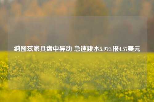 纳图兹家具盘中异动 急速跳水5.97%报4.57美元