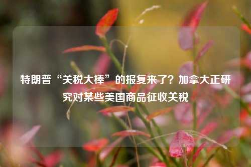 特朗普“关税大棒”的报复来了？加拿大正研究对某些美国商品征收关税