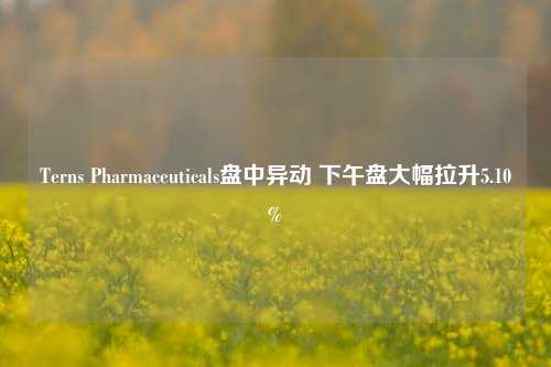 Terns Pharmaceuticals盘中异动 下午盘大幅拉升5.10%