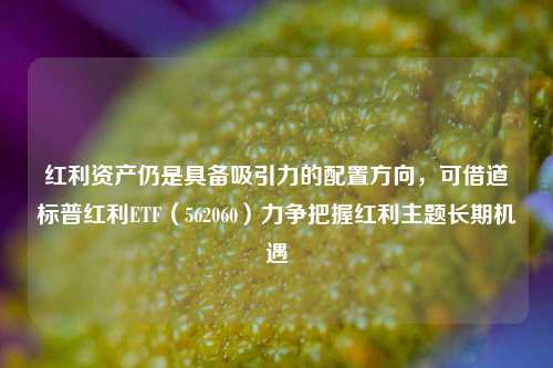 红利资产仍是具备吸引力的配置方向，可借道标普红利ETF（562060）力争把握红利主题长期机遇