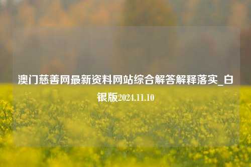 澳门慈善网最新资料网站综合解答解释落实_白银版2024.11.10