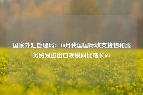 国家外汇管理局：10月我国国际收支货物和服务贸易进出口规模同比增长6%